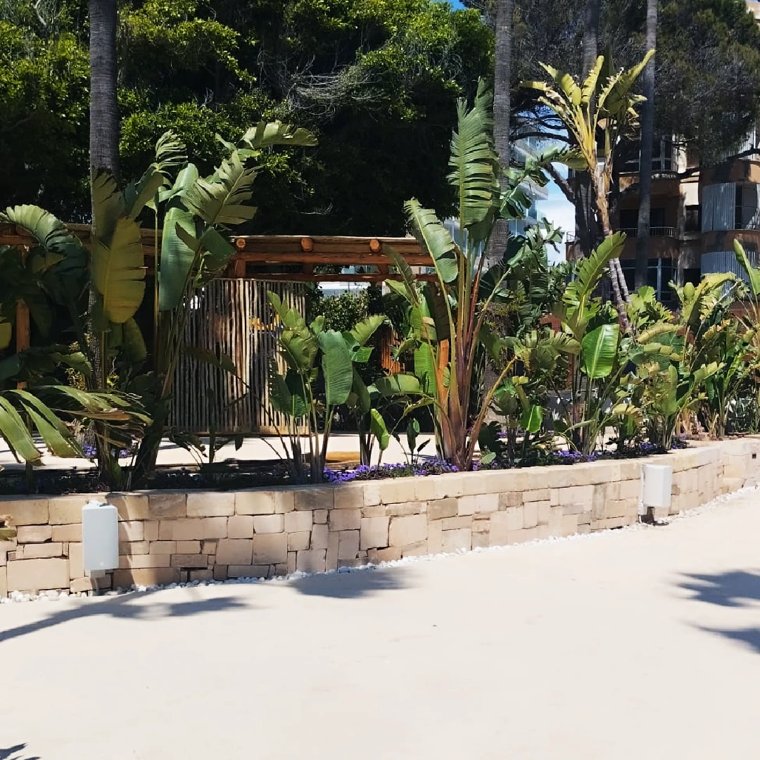 Hotel playa Golf Mallorca. Instalación de audio Lynx Pro Audio
