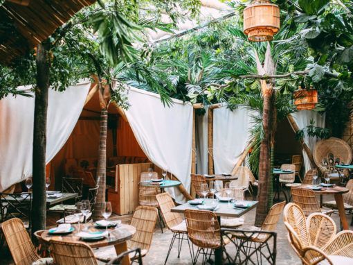 Nature, food & background sound reinforcement
